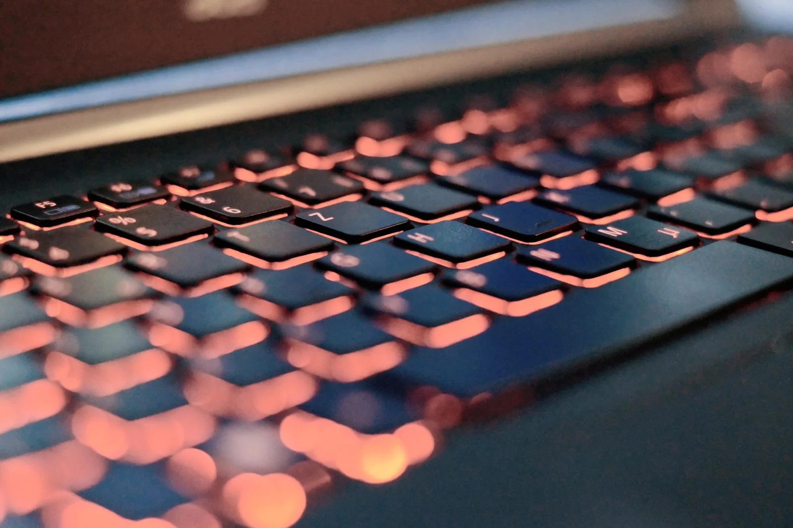 Local SEO services dashboard with keyword ranking reports